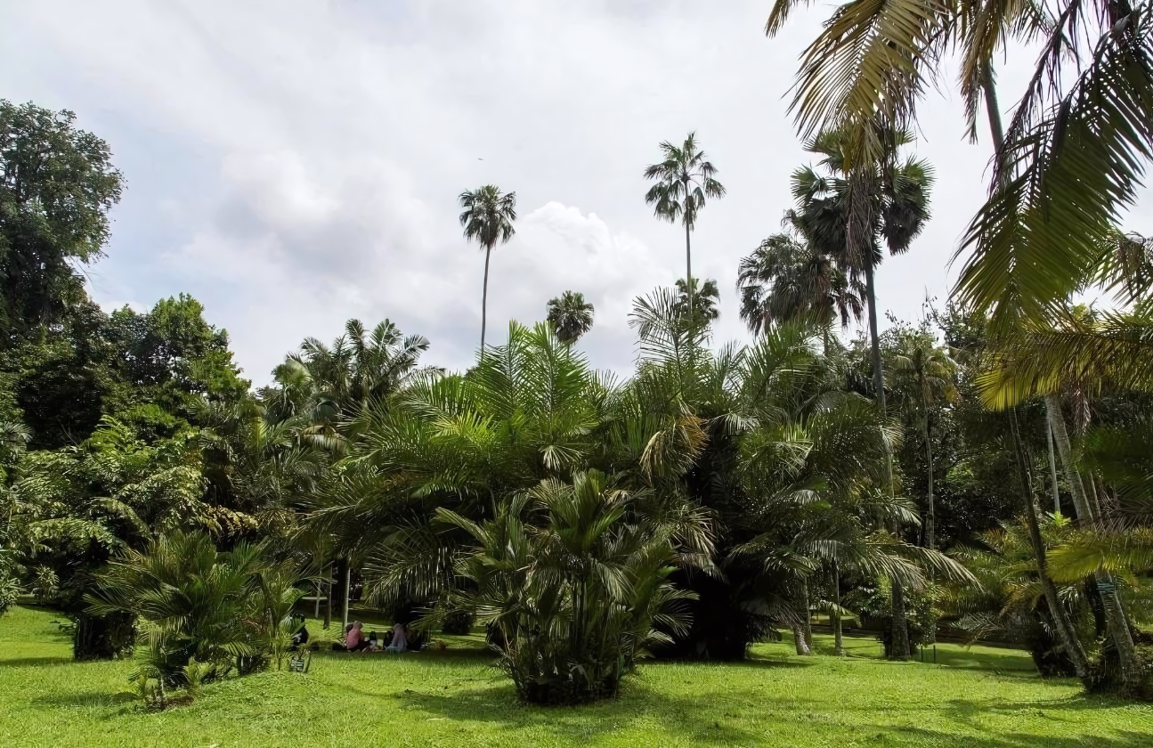 Kebun Raya Bogor